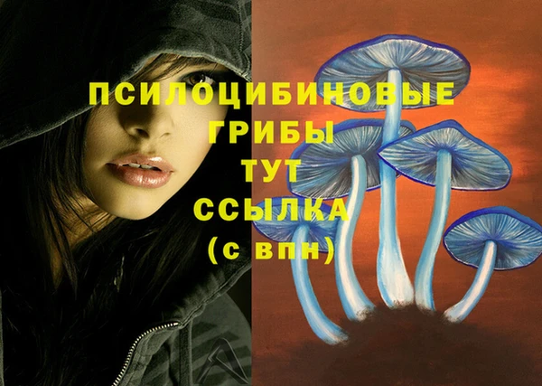 Альфа ПВП Абаза