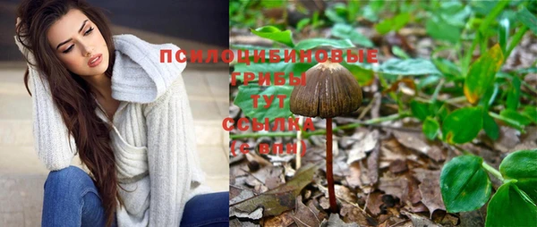 стафф Алексин