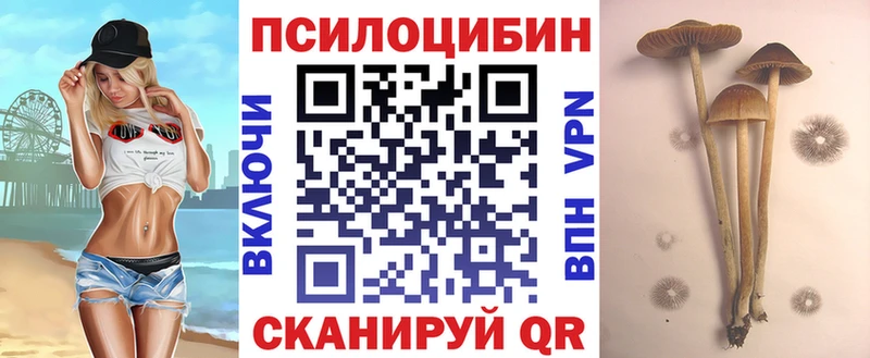 Галлюциногенные грибы Psilocybine cubensis  Ессентукская 